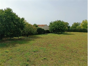 terrain à la vente -   79000  NIORT, surface 688 m2 vente terrain - UBI438274265